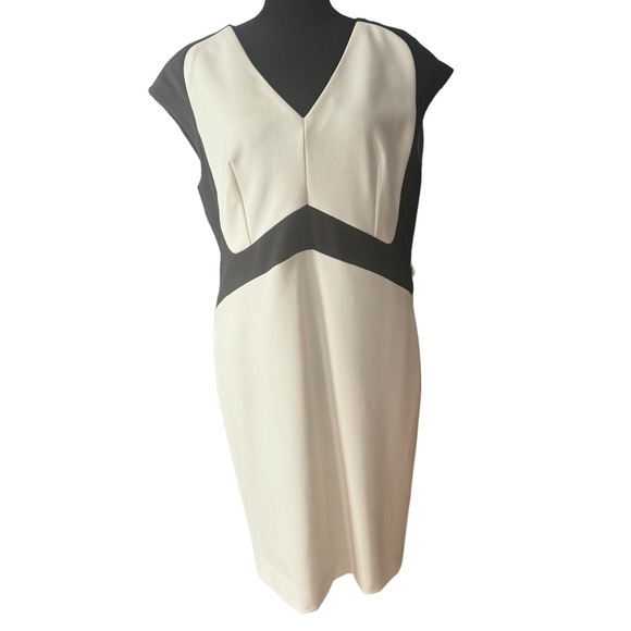 The Limited Dresses & Skirts - Scandal collection white and black cap sleeve dress by The Limited, petite 14